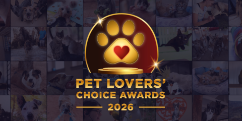 2026 Pet Lovers' Choice Awards graphic