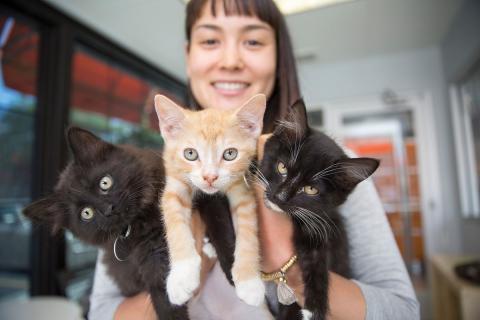 meta description image