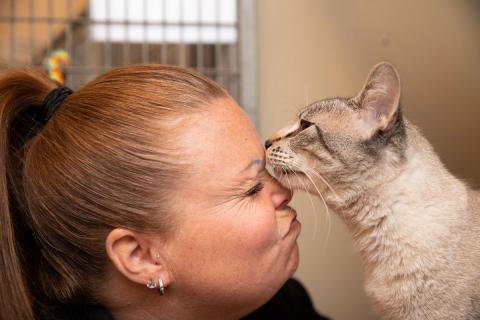 meta description image