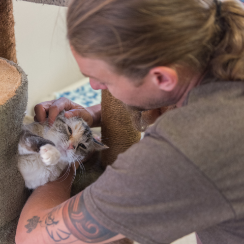 Man cradling and petting a cat