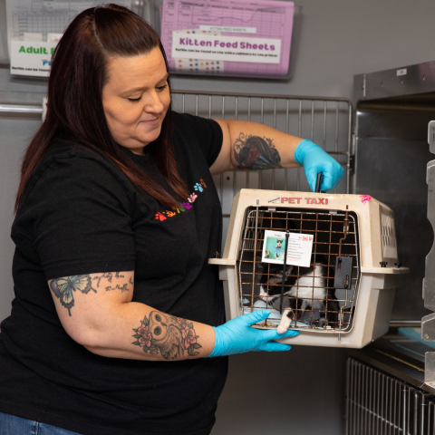 Woman with brown hair in a black shirt lifting a cat carrier to a bank of cages