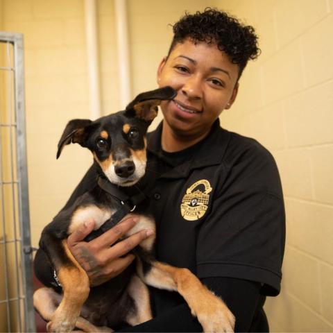 Black female ACO holding a black and brown puppy