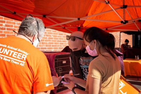 meta description image