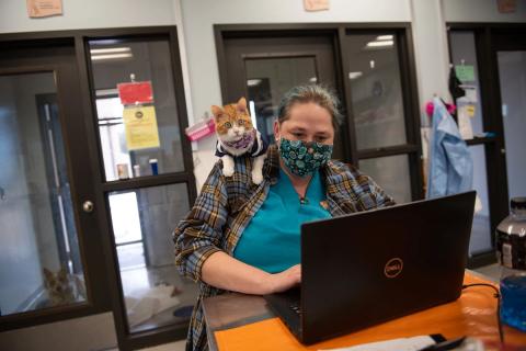 meta description image