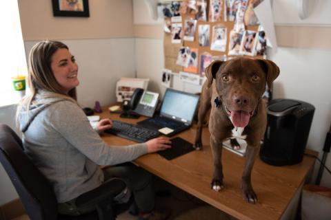 meta description image