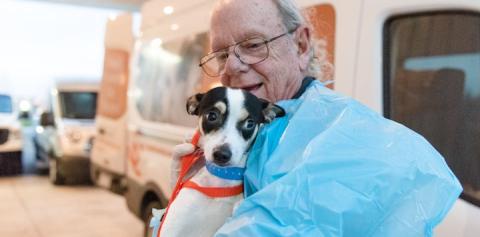 Black and white dog being held by man with glasses