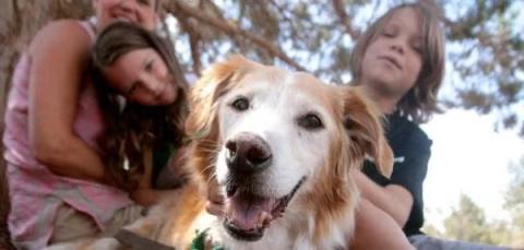 Dog in foreground with a family behind him