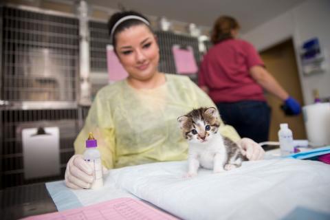 meta description image