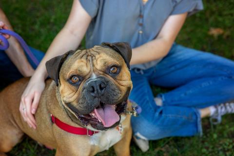 meta description image