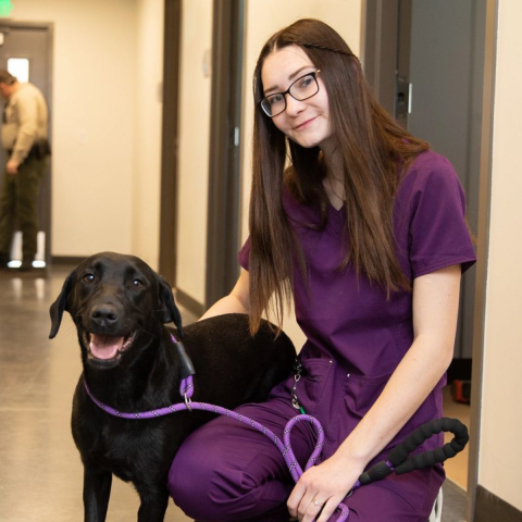 Woman with long brown hair and purple scrubs kneeling down with a black dog on a leash