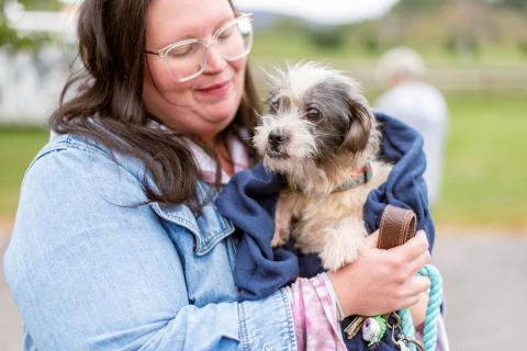 meta description image