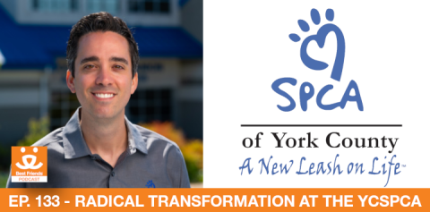 Steven Martinez York County SPCA