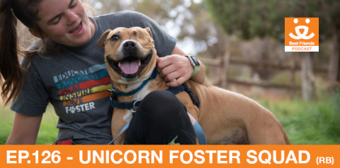 woman lying in the grass with a brown dog