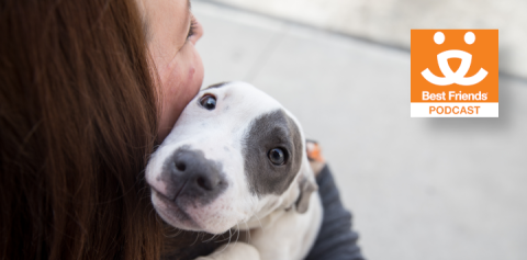 Puppy held by a woman