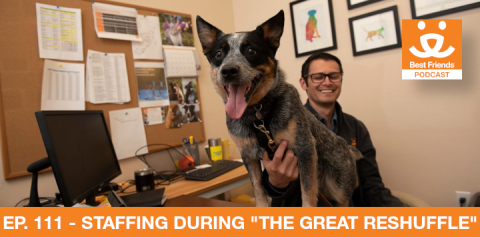 Office dog at Best Friends Animal Society