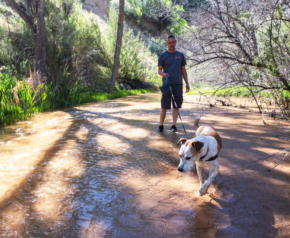 Person taking a dog for a walk in a canyon creek