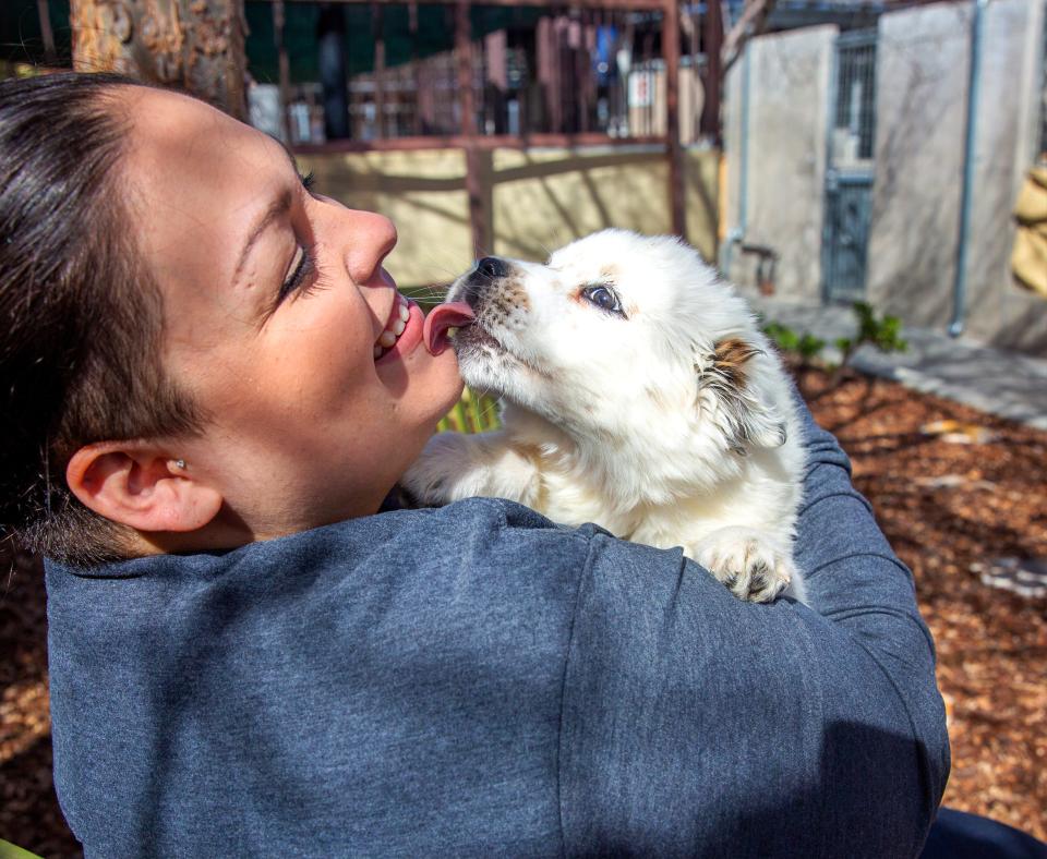 Smiling person holding a white puppy and getting licked on the face