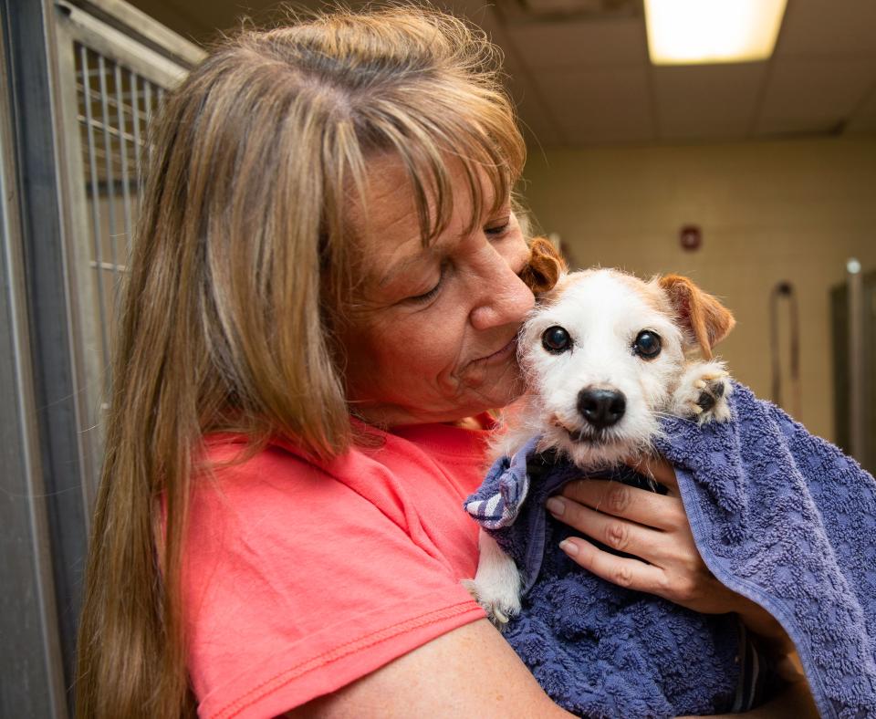 Person holding a small terrier dog in a towel outside some kennels