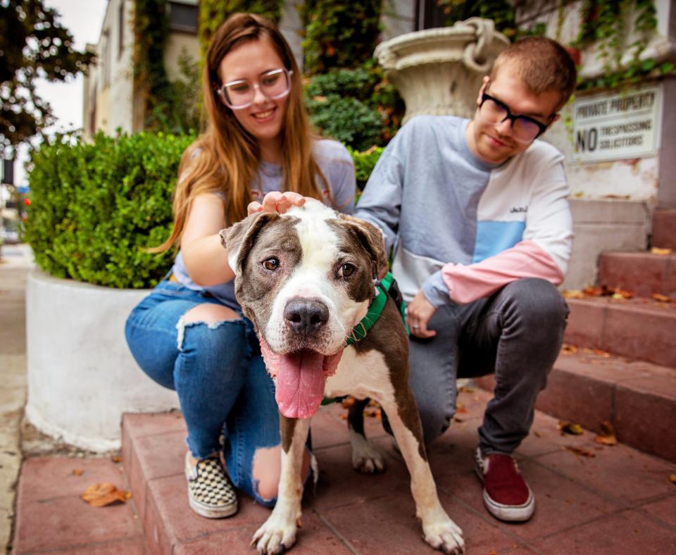 Two smiling people sitting with a happy dog outside on a front step