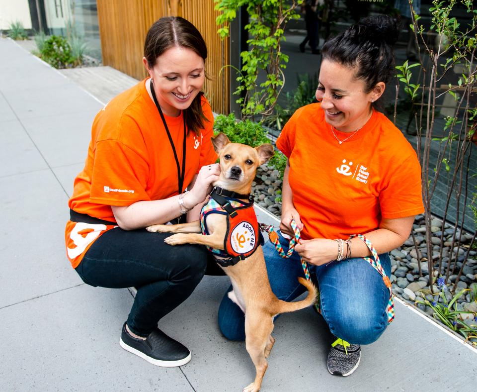 Two people wearing orange Best Friends T-shirts outside on a walk with a small dog