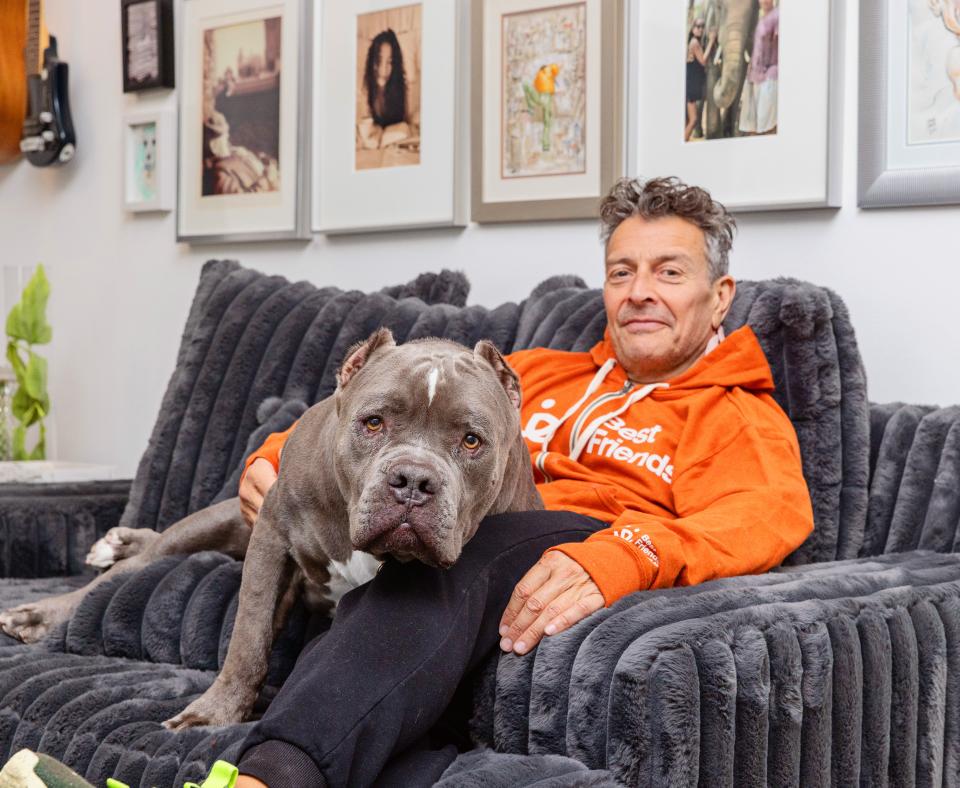 Person relaxing with a big dog on a couch