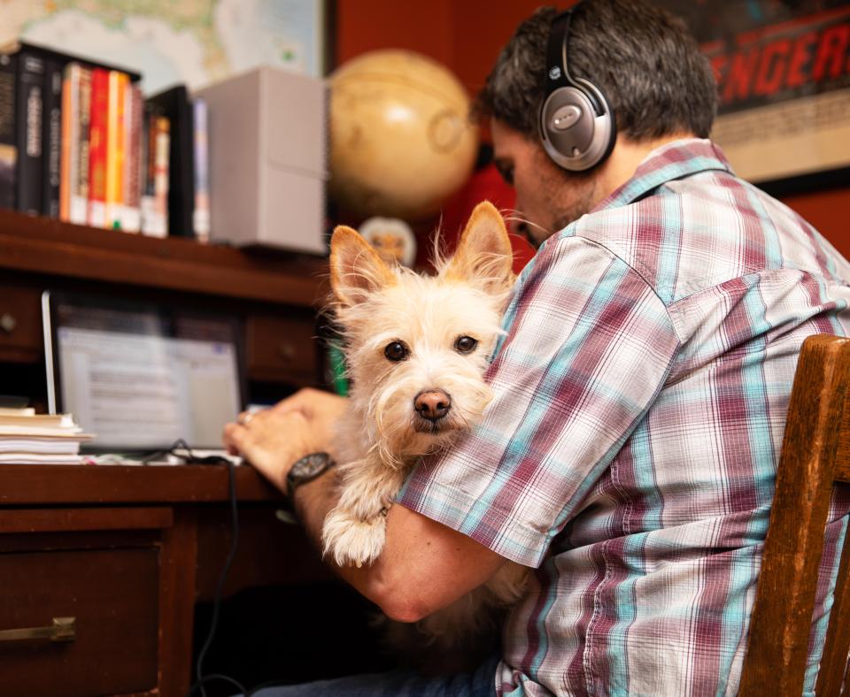Person wearing headphones and working on a laptop computer with a terrier dog in his lap