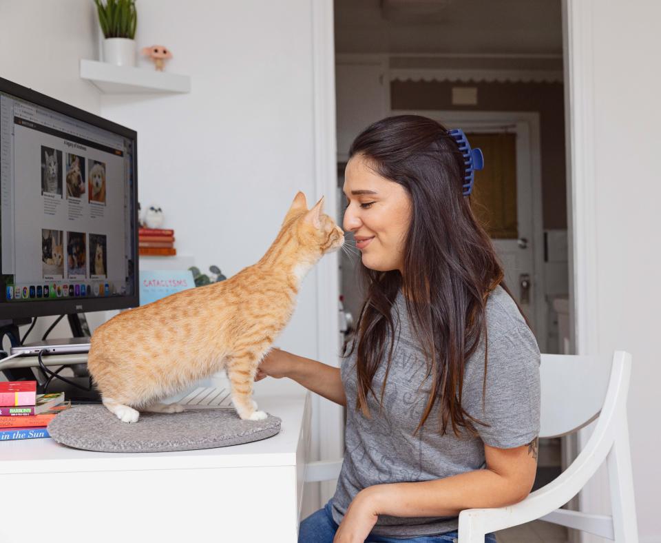 Person working on a computer nose-to-nose with an orange tabby cat