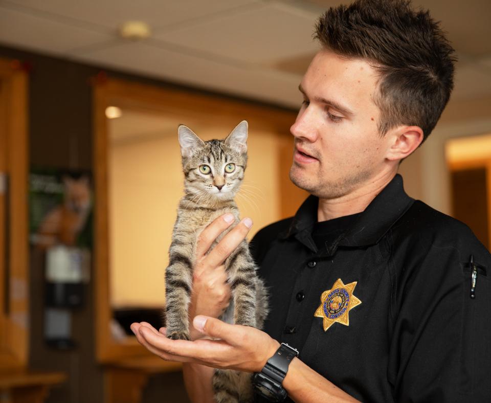 Animal Control Officer holding a tabby kitten in his hands