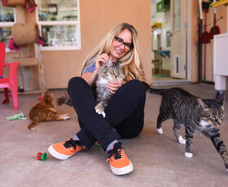 Julie Castle sitting with cats at Best Friends Animal Sanctuary