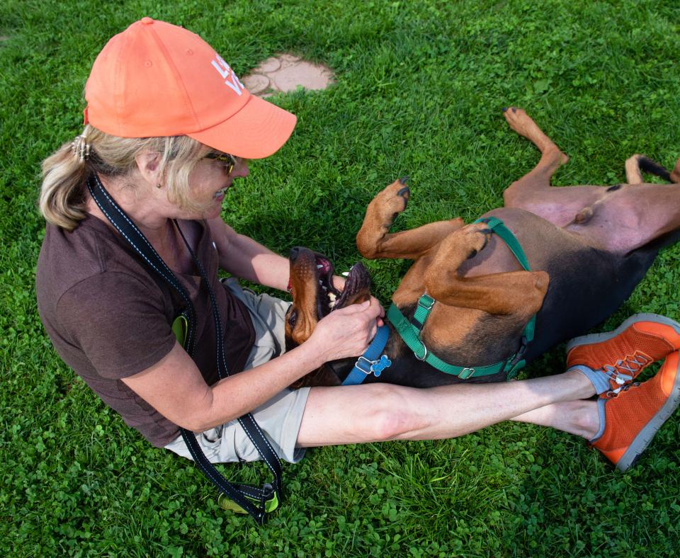 Person wearing a hat petting a dog lying upside-down on some grass