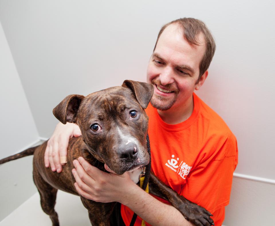 Volunteer wearing orange T-shirt hugging a large brindle puppy
