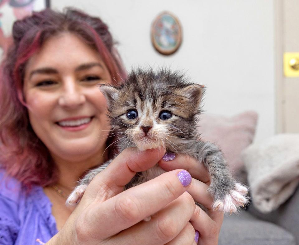 Smiling person holding a small, neonatal kitten in a living room type environment