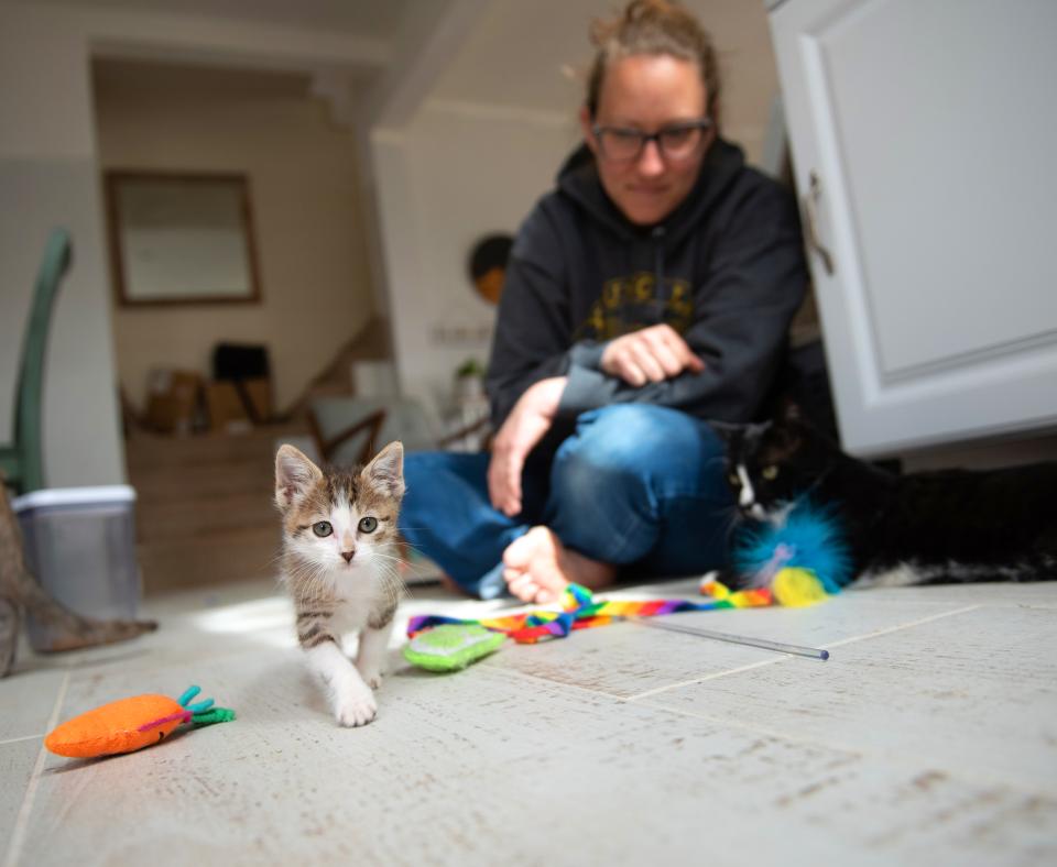 Smiling person sitting on the floor while playing with a small kitten