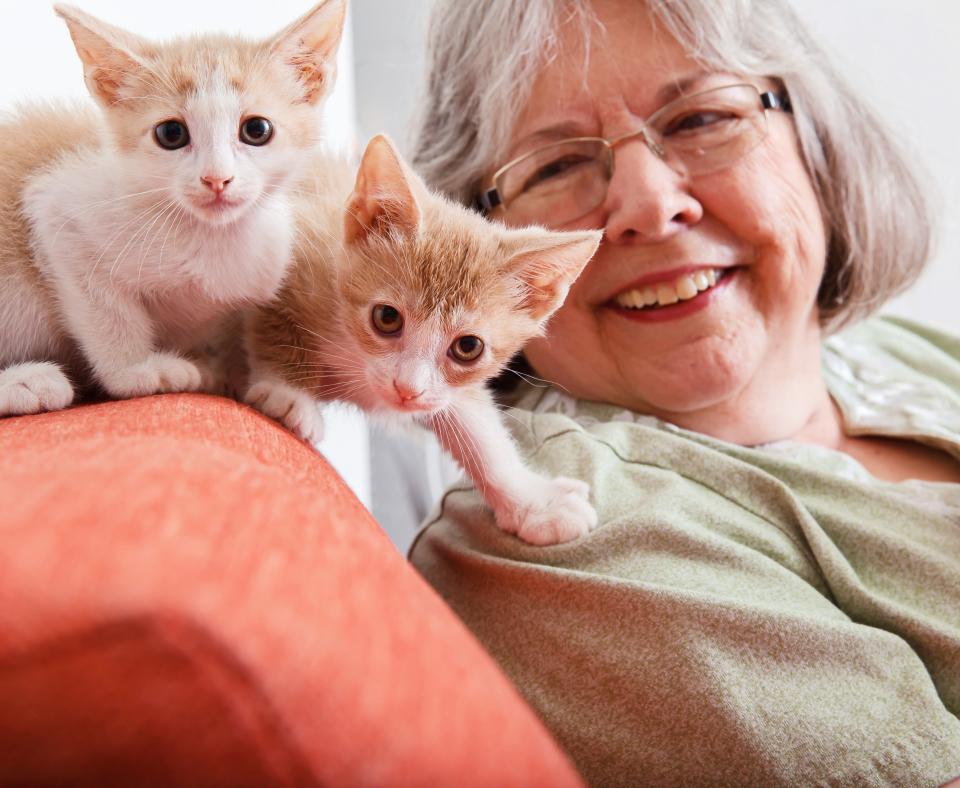 Smiling person looking at two tiny kittens on a chair