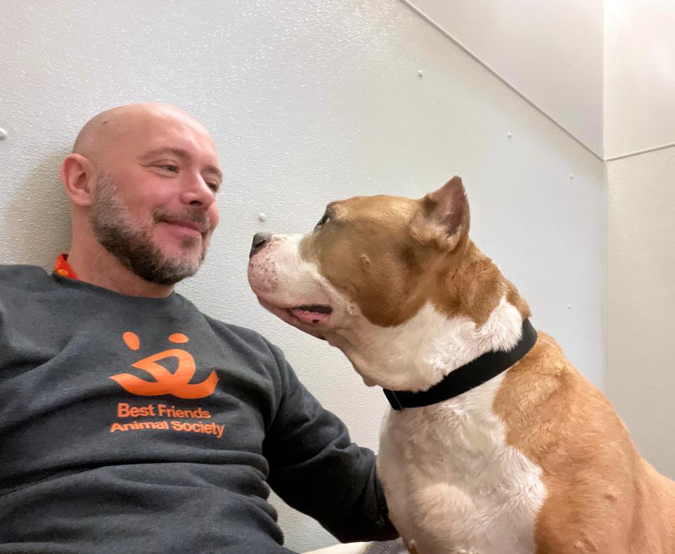 Volunteer David Sprague wearing a Best Friends T-shirt and looking eye-to-eye with a dog with cropped ears