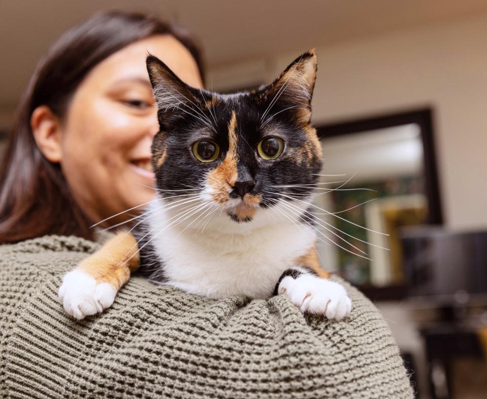Smiling person holding a calico cat up on her upper arm