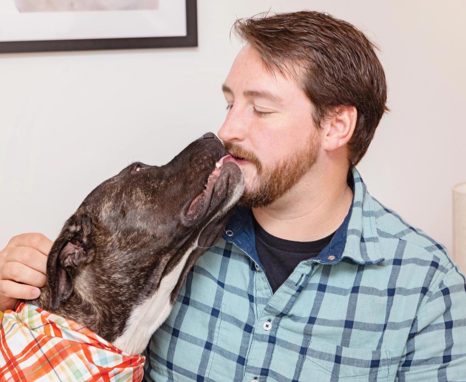Henrietta the dog giving a kiss to a person wearing a plaid shirt