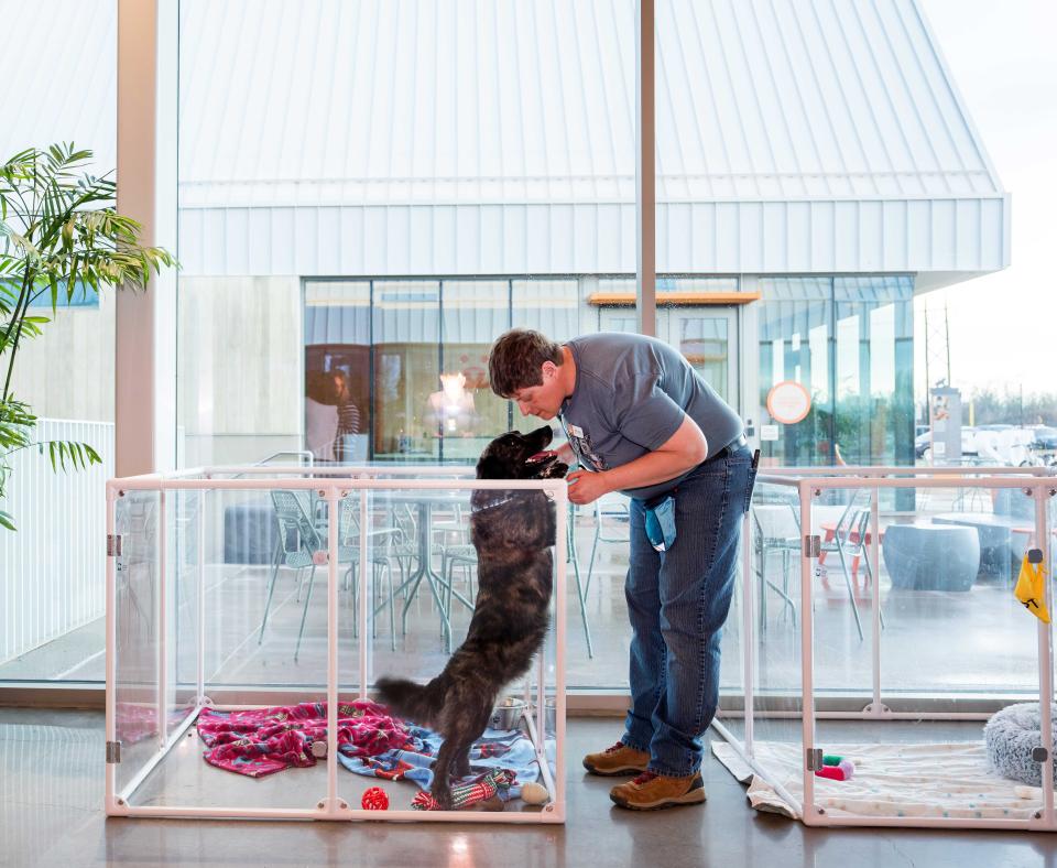 Person leaning down to interact with a dog in a pen at the front of the Pet Resource Center