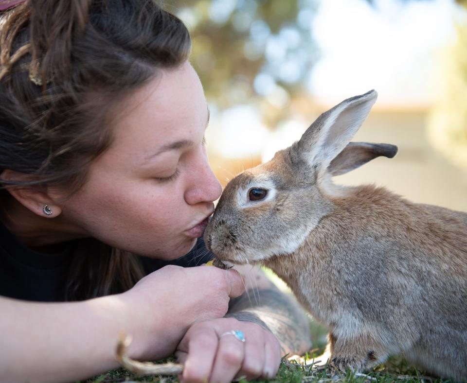 Person kissing the head of Hope the rabbit