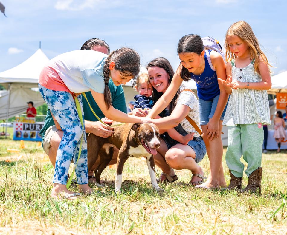 Group of people all reaching down to pet a dog at the Best Friends Super Adoption in Northwest Arkansas