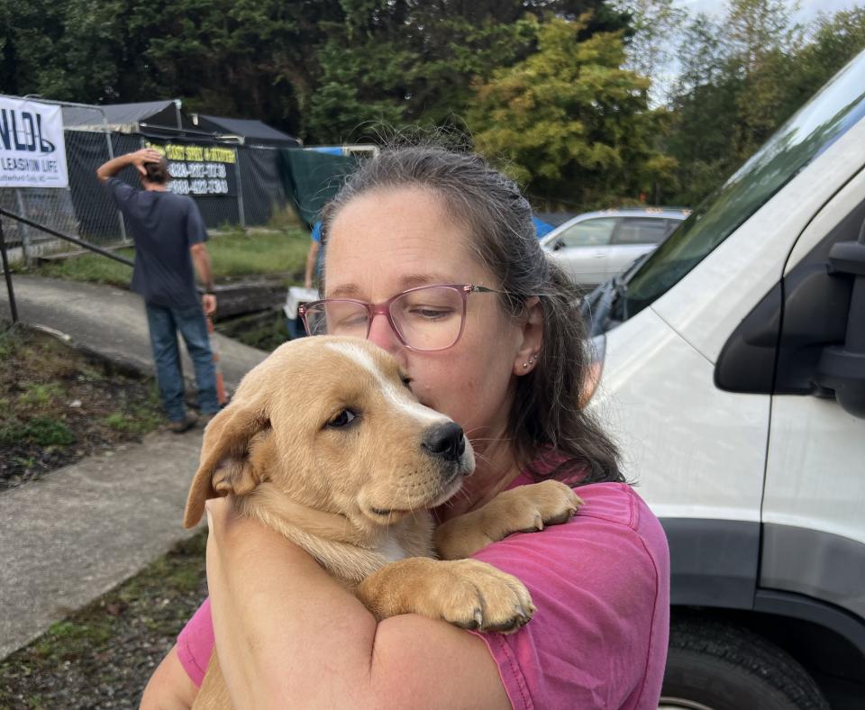 Person holding a puppy in front of a transport vehicle