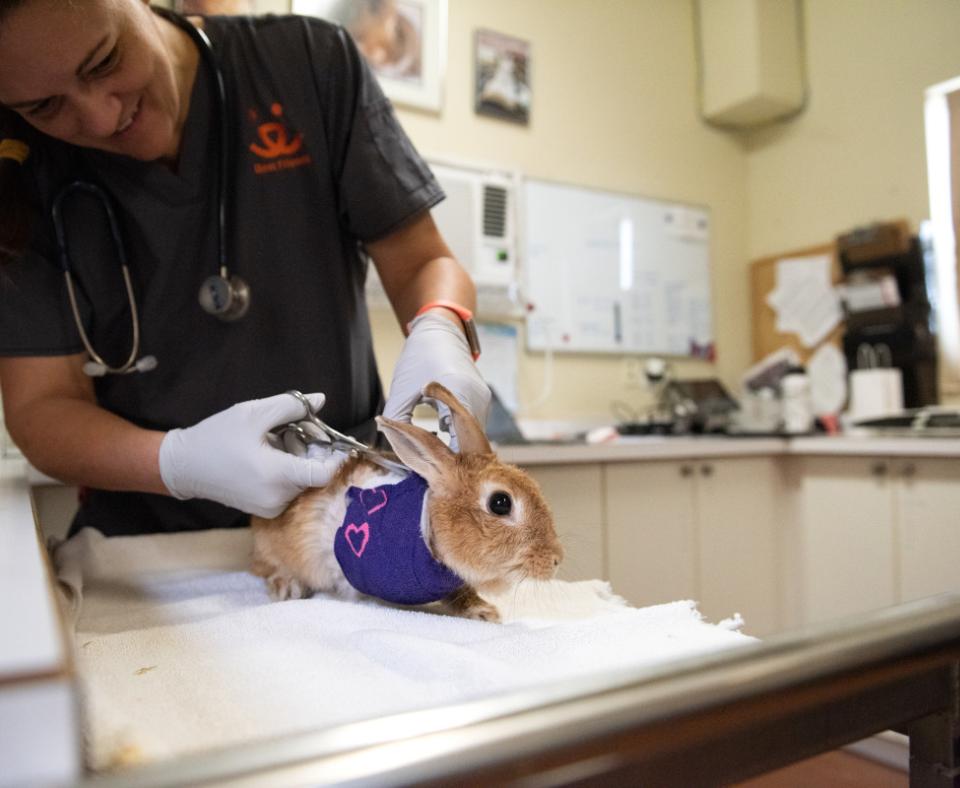 Marilyn Bunroe getting a bandage change