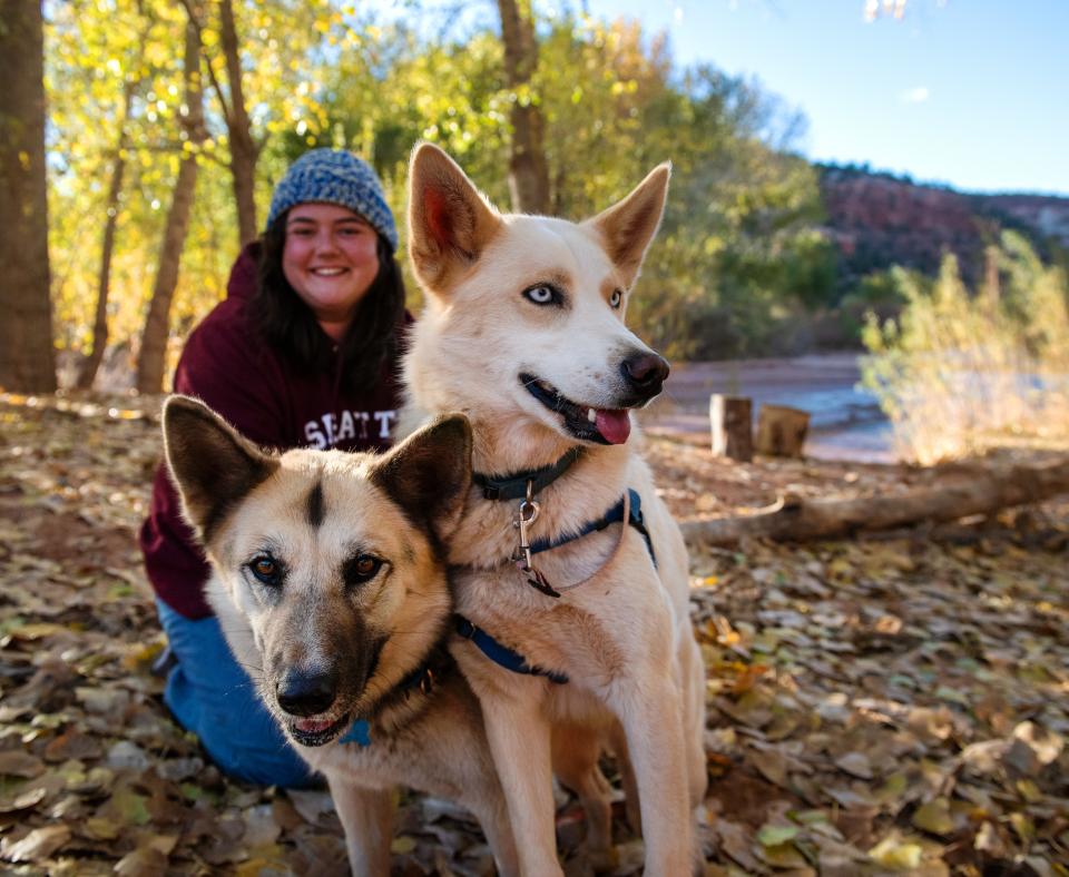 Smiling person on a hike in fallen leaves with two dogs in autumn