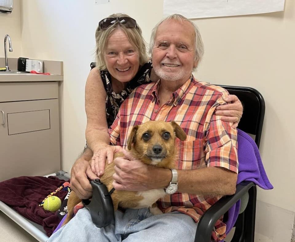 Small dog being adopted from MSPCA–Angell