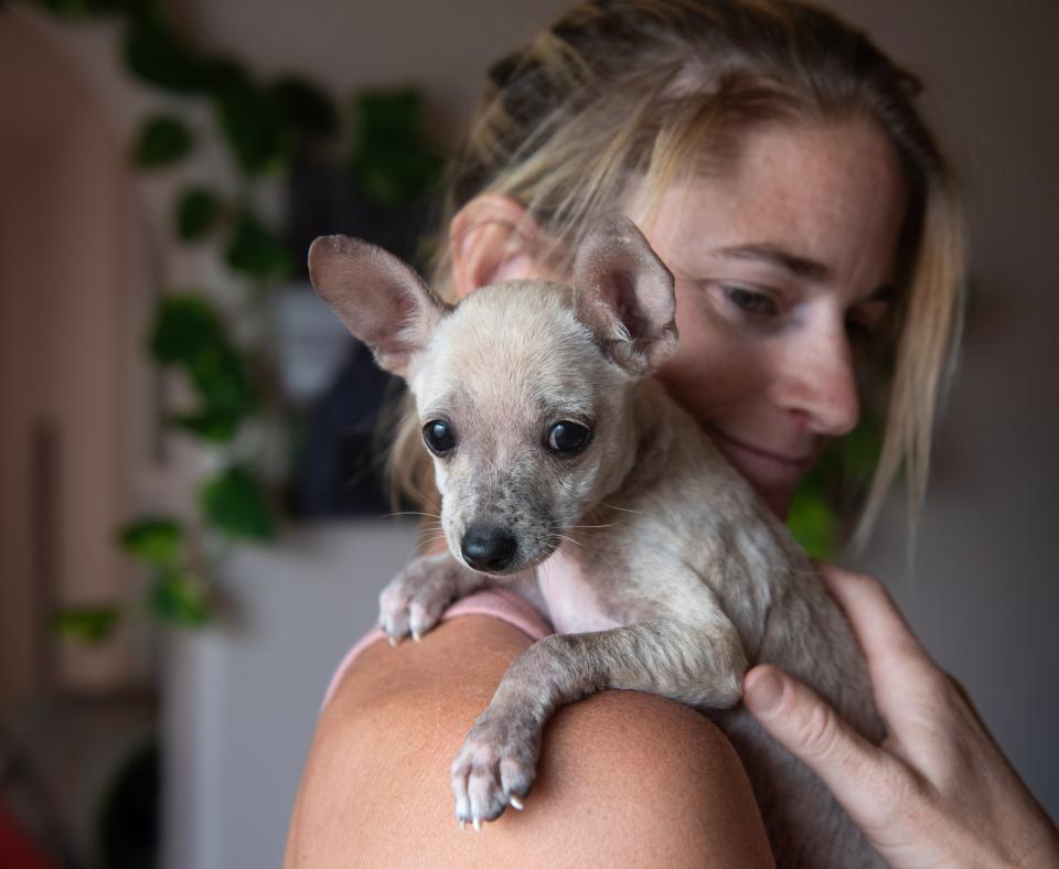 King Julian the dog being held over her shoulder by Kate