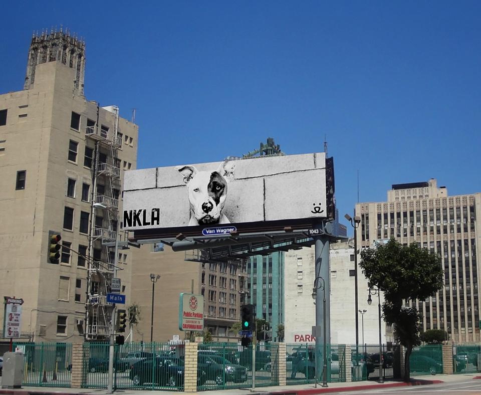 NKLA black and white billboard featuring Jewell the dog