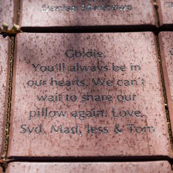 Close up of memorial brick