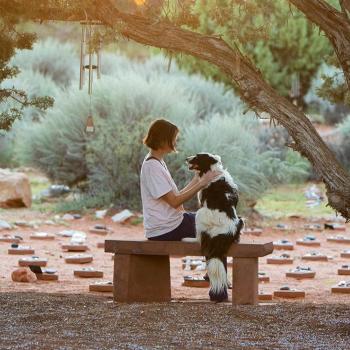 Person sitting with a dog surrounded by wind chimes and pet remembrance stones