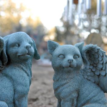 Dog and cat angel statues