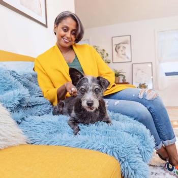 Senior dog lying on a couch with his person sitting behind him